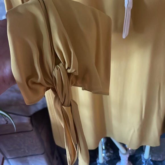 Cremieux Dijon blouse - NEW! - Picture 2 of 6